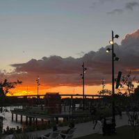 Cara profile picture