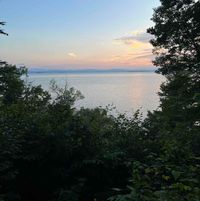 Ali M profile picture