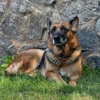 Bronwyn Mcleod profile picture