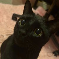 Kenzie M. profile picture