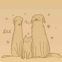 Rae Parks profile picture