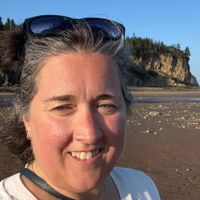 Sarah Winter Whelan profile picture