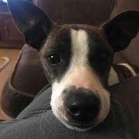 Marie Ross profile picture
