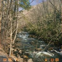 caroline r profile picture