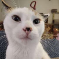 Creativ Quirks - Kim Wright profile picture