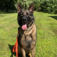 Trisha Phillips profile picture