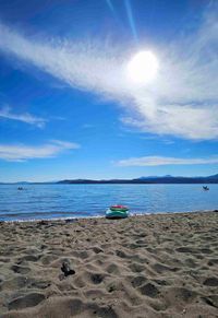 Sasha profile picture