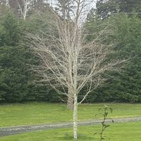 Max fisher profile picture