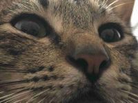 Christine Gutib profile picture