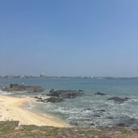 Soph profile picture