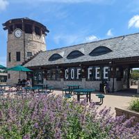 Marissa profile picture