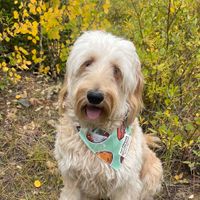 Hazel Kee profile picture