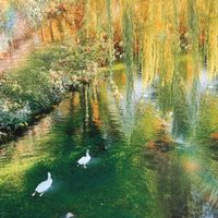 lizzy profile picture