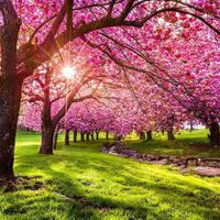 Jasmine profile picture