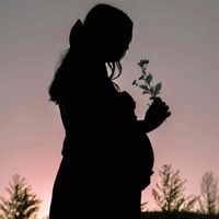 Hannah Facha profile picture