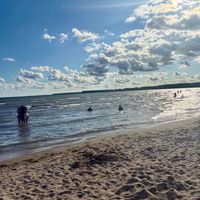 Kim R profile picture