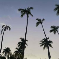 Emily McAndrew profile picture