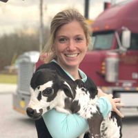 Kaitlyn Arnsdorf profile picture