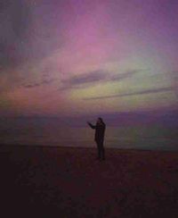 Michelle Nielsen profile picture