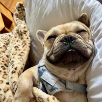 Teresa Baker profile picture