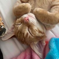 Denny O profile picture