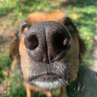 Emma Tett profile picture