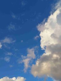 ylvis profile picture