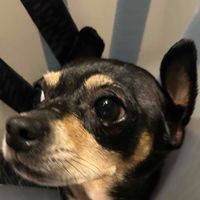 Tori M profile picture