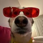 Rey Wabwile profile picture