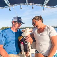 Abroad Reach Travel profile picture