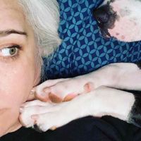 Dusti Gregory profile picture