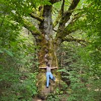 Madysen Brock profile picture