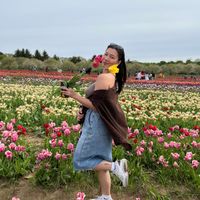 Mary Kleinch profile picture