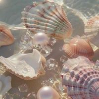 Danielle Reyes profile picture