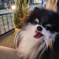 KomiBamiSabi profile picture