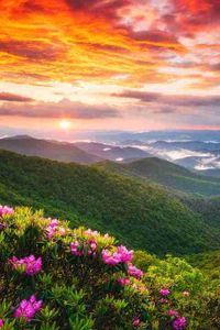 Sarah Campbell profile picture