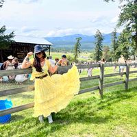 Katie Johnson profile picture