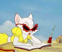 tofu tbr profile picture