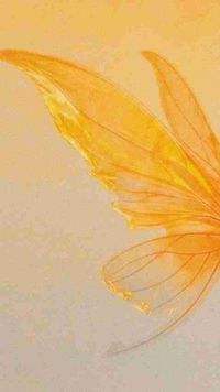 Jehan Hammad profile picture