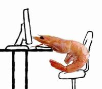 The smallest shrimp profile picture