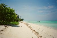 Alexia profile picture