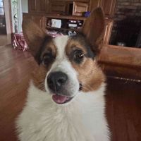 Jami Meredith profile picture