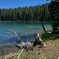 Teag Babe profile picture