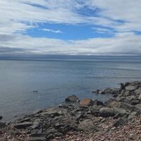 Kelly Johnson profile picture