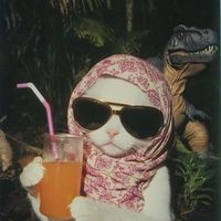 Minh Dao profile picture