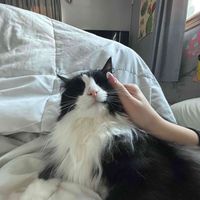 Val_bal47 profile picture