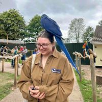 Lily Pink profile picture