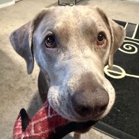 Courtney Bordeaux profile picture