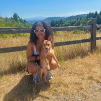 Meica Traylor profile picture