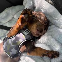 Benny profile picture